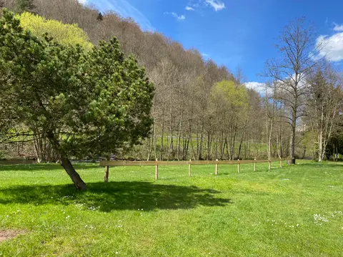 Quellgrund