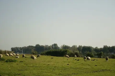 Kampeervereniging De Leek