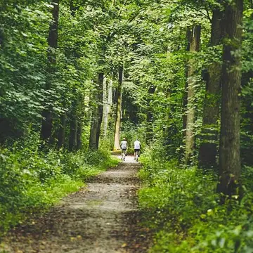 Natuurkampeerterrein Het Bos Roept