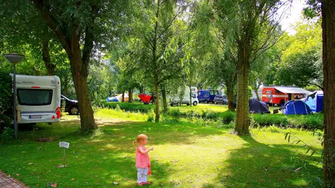 Het Rietveen