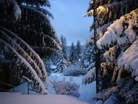 Campingplatz und Bungalowdorf Erlau