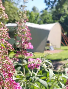 Camping Vlietland