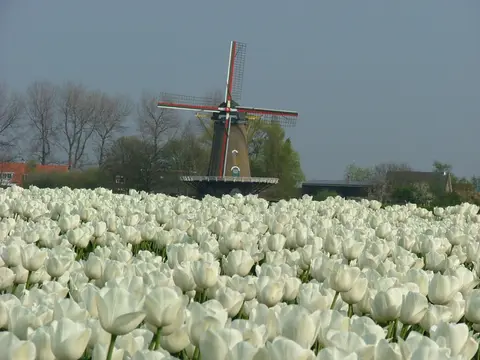 Camping Akkerleven