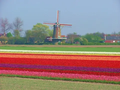 Camping Akkerleven