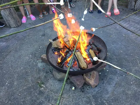 De Bokkesprong