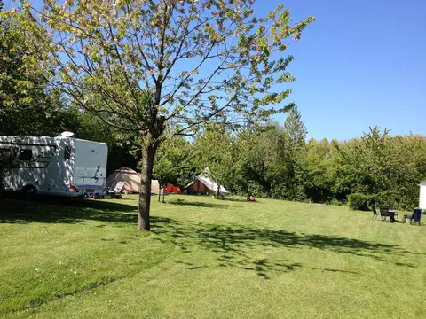 De Bokkesprong