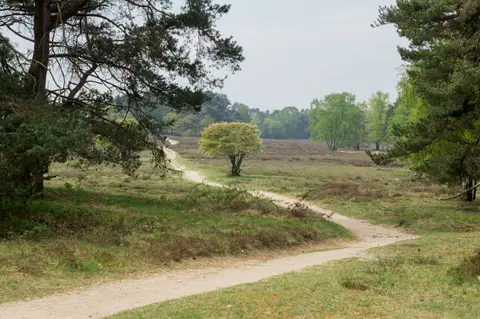 seizoencamping Kampgenot