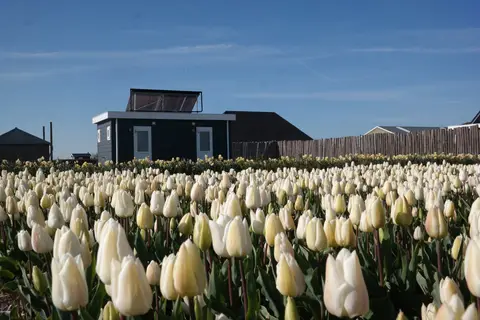 Duinzoomhoeve