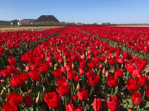 Duinzoomhoeve