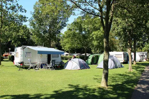 Den Osse