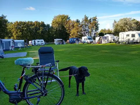 mini camping De Hooiberg