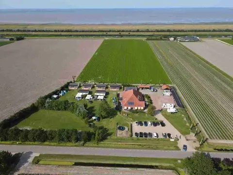Tulpenweide