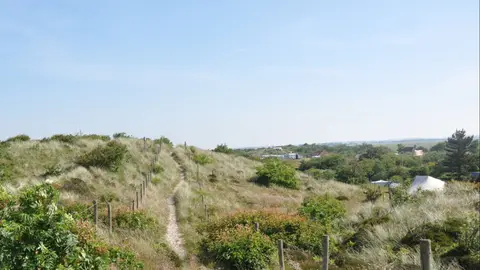 Duincamping De Lepelaar