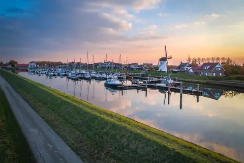 De Zeester