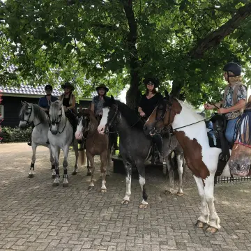 Camping Weideblik