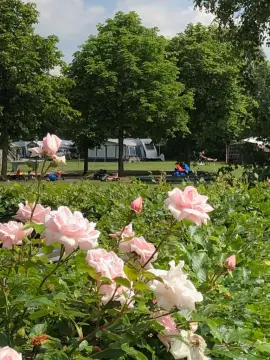 Camping Weideblik