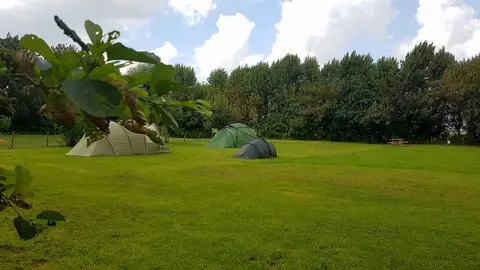 natuurkampeerterrein de Kersegaard
