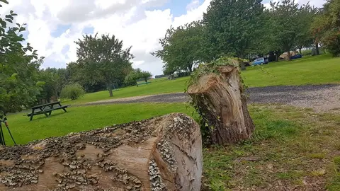 natuurkampeerterrein de Kersegaard