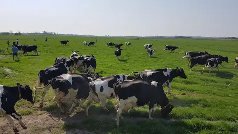 Oosterzicht