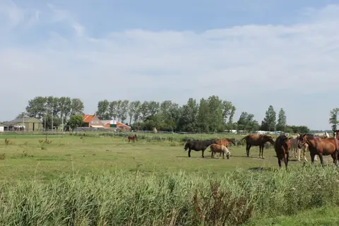 Minicamping Hoogelande