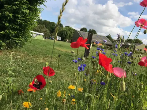 Camping Tussen de Dijken