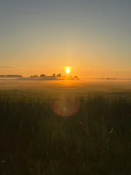 Camping de Tuintjes