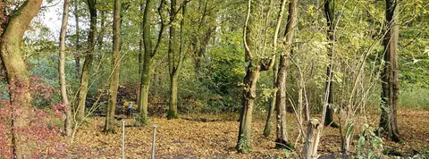 Naturistenvereniging Chamavi