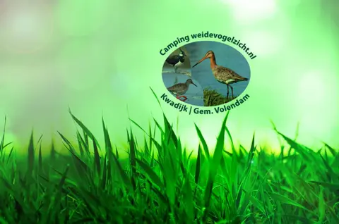 Weidevogelzicht
