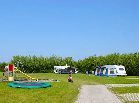 Minicamping Pieternellahoeve