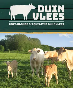 De Zandkant