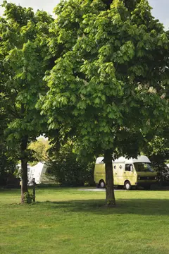 Minicamping de Stamhoeve
