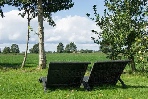 Camping Coterlet
