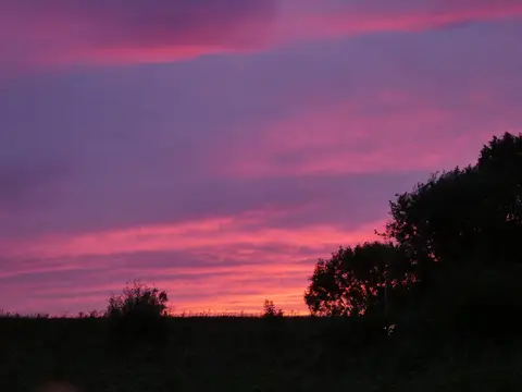 Natuurkampeerterrein De Kreek