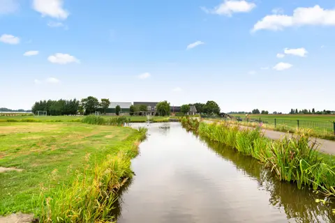 De Nachtzwaluw