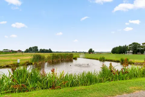 De Nachtzwaluw