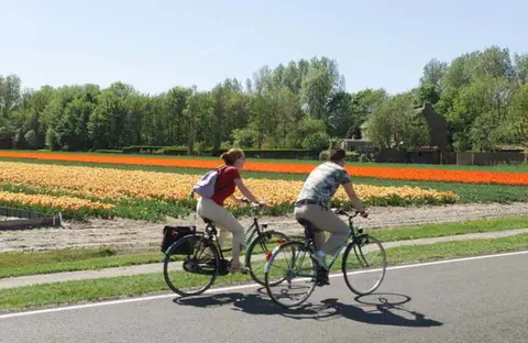 Vakantiepark Koningshof