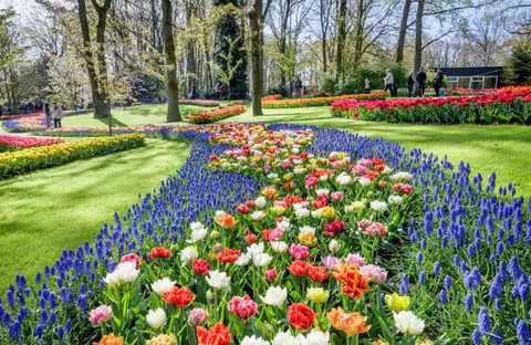 Vakantiepark Koningshof