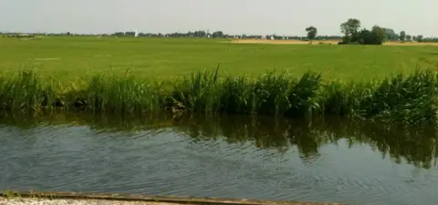 Dukdalf