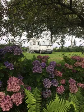 de Trekvogel
