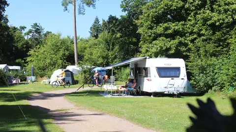 Molecaten Park Landgoed Ginkelduin