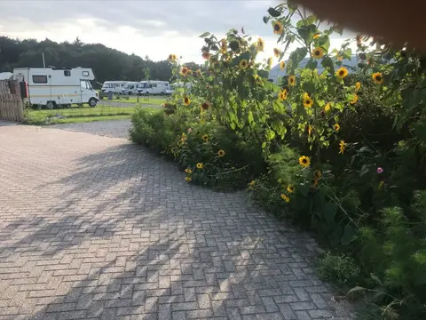 Camperplaats De Pol