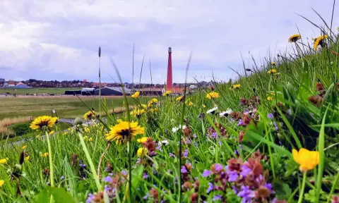Camping en Zomerhuis Duinhoeve