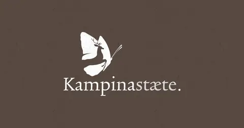 vakantiepark KampinaStaete