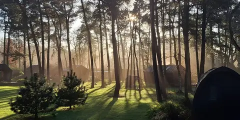vakantiepark KampinaStaete