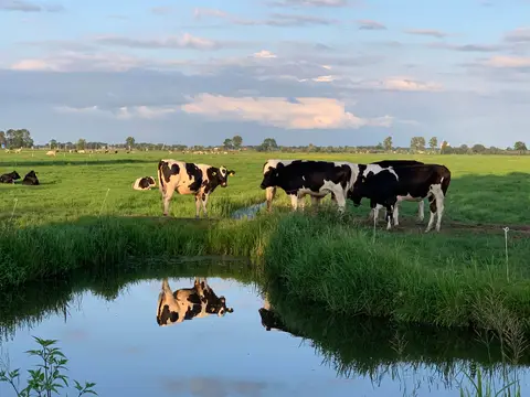 Minicamping Giessenwaard