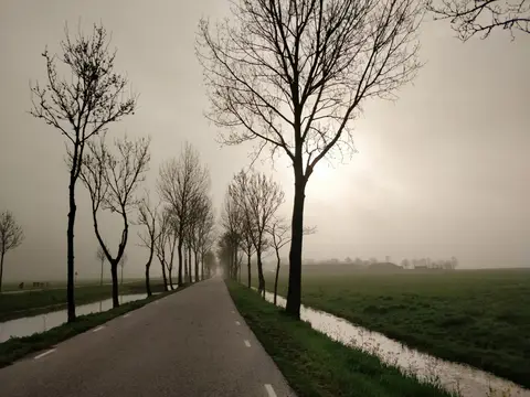 De Grienduil