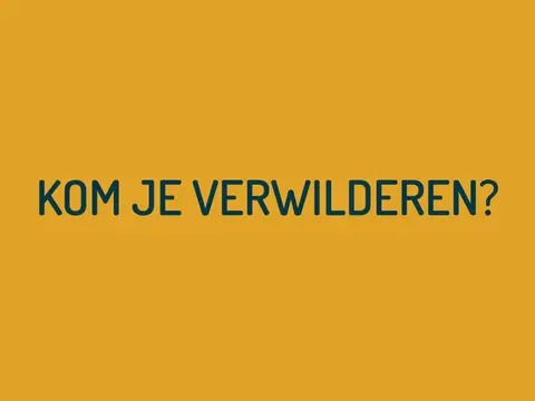 Camping Zonnehoeve