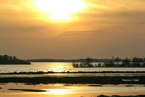 De Schaapskooi