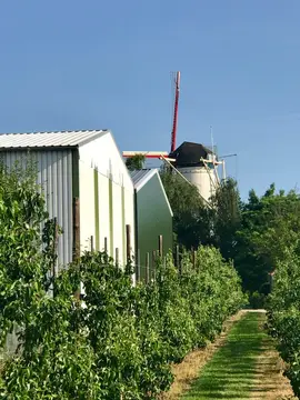 Molenzicht