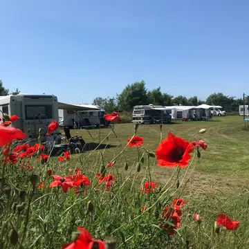 Nieuw Duinoord